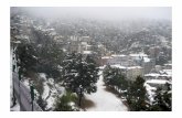 Snow in Shimla