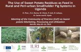 The use of sweet potato residues as feed in rural and peri-urban smallholder pig systems in Uganda