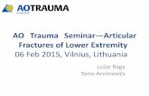 AO Trauma Seminar—Articular Fractures of Lower Extremity, 06 Feb 2015, Vilnius, Lithuania