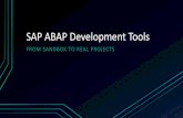 SAP ABAP Development Tools - Introduction in productive environments (EXP17795, d-code 2014)