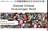 Goose chasegroup