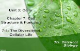 7-4 The Diversity of Cellular Life