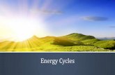 Energy cycles notes