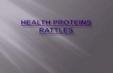 Health proteins rattles