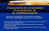 EVALUATION OF CUTANEOUS FLAP SURVIVAL BY IR -THERMOGRAPHY