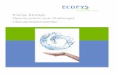 Energy Storage Opportunities and Challenges ECOFYS