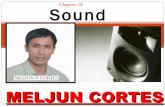MELJUN CORTES Computer Organization lecture chapter18 sounds