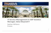 1613 it service management in sap solution manager, value beyond it