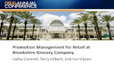 Sap retail promotion management
