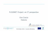 Smarter Manufacturing Sustainable Futures 4 FLEXINET project IT Perspective