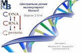 Центральна догма молекулярної біології 2014