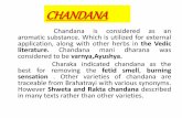 Chandana- Santalam alba _ sandal