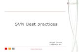 SVN Best Practices