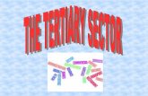 The tertiary sector