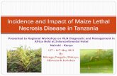 Incidence and Impact of Maize Lethal Necrosis Disease in Tanzania