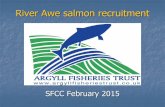 River Awe salmon recruitment. Alan Kettle-White