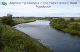 Monitoring changes in the tweed brown trout population. Kenny Galt. Tweed Foundation