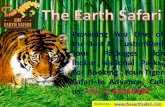 Tiger tour with the earth safari
