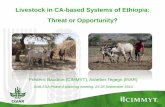 Is livestock a thret or an opportunity for conservation agriculture in Ethiopia?