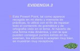 Evidencia 3