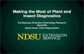 How to submit a quality sample to the NDSU Plant Diagnostic Lab