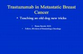 Platinum Compounds in Metastatic Breast Cancer