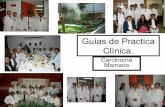 Guías de practica clinica oncologia 2008