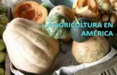 La agricultura en américa