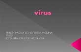 Virus informaticos y antivirus paola