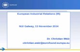 Industrial Relations - Industrial Relations in the European Union_Christian Welz