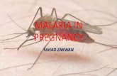 Malaria in prgnancy