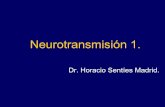 Neurotransmision 1 Autonomo A