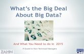 What's the big deal      about big data 1 30-2015