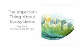 The Important Thing about Ecosystems Big Book