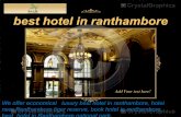 Best hotel in ranthambore