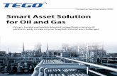 Tego Oil and Gas application brochure