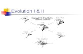 Evolution presentation I & II.