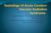 Toxicology of Acute Cerebrovascular Radiation Syndrome.
