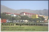 Anemias megaloblasticas universidad nacional federico villareal