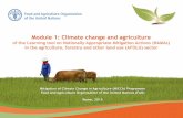 Introduction to the tool and Module 1: Climate change and agriculture of the FAO Learning tool on Nationally Appropriate Mitigation Actions (NAMAs) in the agriculture, forestry and