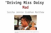 Driving miss daisy mad