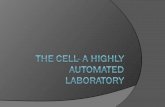 The cell  a highly automated laboratory