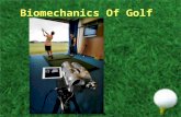 Biomechanics and Golf
