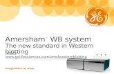 Amersham Western Blotting System