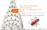Nybc capabilities in consulting and business development