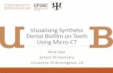 Visualising Synthetic Dental Biofim on Teeth Using Micro-CT