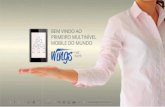 Apresentação Wings Network - Portugues