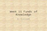 Week 11 funds of knowledge