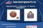 Sports Equipment by Cameo Sports, Jalandhar
