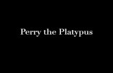 Cartoon Characterization of Perry the Platypus